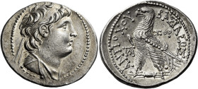 Tetradrachm, Ake-Ptolemaïs 136-135 (year 177), AR 33 mm, 14.02 g. Diademed and draped bust of Antiochus VII r. Dotted border. Rev. BAΣIΛEΩΣ – ANTIOXOY...