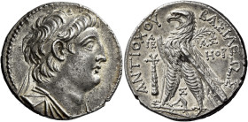 Tetradrachm, Tyre 135-134 (year 178), AR 29 mm, 13.81 g. Diademed and draped bust of Antiochus VII r. Dotted border. Rev. BAΣIΛEΩΣ – ANTIOXOY Eagle, w...
