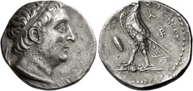 Tetradrachm, Tarsus circa 261-259, AR 27 mm, 12.77 g. Diademed head of Ptolemy II r., wearing aegis. Rev. [ΠTOΛEMAIOY] ΣΩTHPOΣ Eagle, closed wings, st...