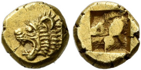 Phocaea 

Twenty-fourth stater circa 625-522, EL 6 mm, 0.63 g. Head of roaring lion l.; in r. field, small seal upward. Rev. Incuse square punch. Bo...