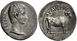 Octavian as Augustus, 27 BC – 14 AD 

Denarius, Samos (?) circa 21-20 BC, AR 21 mm, 3.65 g. CAESAR Bare head r. Rev. AVGVSTVS Young bull standing r....