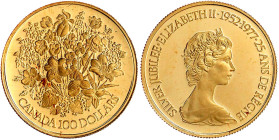 Ausländische Goldmünzen und -medaillen

Kanada

Britisch, seit 1763

100 Dollars 1977, Silber Jubiläum. 16,97 g. 917/1000. Im Originaletui (Alte...