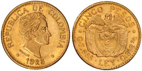 Ausländische Goldmünzen und -medaillen

Kolumbien

Republik, seit 1820

5 Pesos 1926 mit großer 6. 7,99 g. 917/1000. fast Stempelglanz, min. Kra...