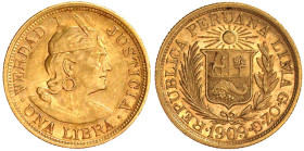 Ausländische Goldmünzen und -medaillen

Peru

Republik, seit 1821

1 Libra 1909. GOZG. 7,99 g. 917/1000. sehr schön/vorzüglich. Krause/Mishler 2...