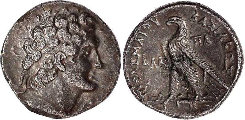Altgriechische Münzen

Ägypten

Königreich der Ptolemäer

Ptolemaios VI., ...