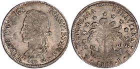 Ausländische Münzen und Medaillen

Bolivien

Republik, seit 1825

8 Soles 1860, Potosi. vorzüglich. Krause/Mishler 138.6.