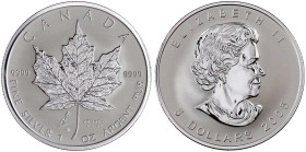 Ausländische Münzen und Medaillen

Kanada

Elisabeth II., 1952-2022

5 Dollars 1 Unze Maple Leaf Silber 2005 mit Beizeichen Vrijheid und Tulpe (...