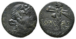 PONTOS. Amisos. Time of Mithradates VI Eupator (Circa 105-90 or 90-85 BC). Ae.
Obv: Head of Dionysos right, wearing ivy wreath.
Rev: AMI - ΣOY.
Thyrso...