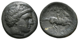 KINGS OF MACEDON. Philip II (359-336 BC). Ae Unit. Uncertain mint in Macedon.
Obv: Diademed head of Apollo right.
Rev: ΦΙΛΙΠΠΟΥ.
Naked youth on horse ...