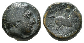 KINGS OF MACEDON. Philip II (359-336 BC). Ae Unit. Uncertain mint in Macedon.
Obv: Diademed head of Apollo right.
Rev: ΦΙΛΙΠΠΟΥ.
Naked youth on horse ...