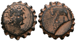 SELEUKID KINGDOM. Antiochos VI Dionysos (144-142 BC). Serrate Ae. Antioch on the Orontes.
Obv: Radiate and diademed head right.
Rev: ΒΑΣΙΛΕΩΣ ΑΝΤΙΟΧ...