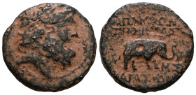 SYRIA, Seleukis and Pieria. Apameia. 1st century BC. Æ. Laureate head of Zeus right / Elephant standing right; date to right, ΣE in exergue. Artificia...