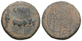 Roman Provincial uncertain, Bronze AE.
Weight 4,07 gr - Diameter 17 mm.