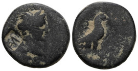 PHRYGIA, Amorium. Augustus. 27 BC-AD 14. Æ 
Weight 7,12 gr - Diameter 18 mm.