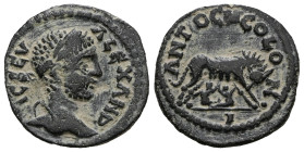 PISIDIA. Antiochia. Severus Alexander, 222-235. AE
Weight 2,21 gr - Diameter 15 mm.