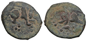 Islamic uncertain, AE Bronze.
Weight 2,27 gr - Diameter 17 mm.