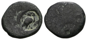 Greek uncertain, Bronze AE.
Weight 2,99 gr - Diameter 13 mm.