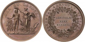 Gartenbau und Landwirtschaft
Bamberg Bronzemedaille o.J. (Schenk) Prämie für Landwirtschaft der Schweiz. Landwirt wird von Flora bekränzt, links Wein...