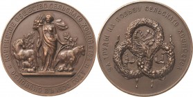 Russland
Nikolaus II. 1894-1917 Bronzemedaille 1900 (P. Stadnitsky) Preismedaille der Landwirtschaftlichen Gesellschaft von Kovno (Kaunas). Halbnackt...