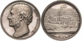 Schweden-Medaillen
 Silbermedaille 1886 (Lea Ahlborn) Auf das 50-jährige Jubiläum der Halfsekels Mine. Kopf von David Carnegie nach links / Fabrikanl...