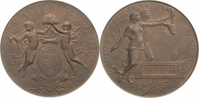 Kaiserreich Österreich
Franz Joseph I. 1848-1916 Bronzemedaille 1896 (Fülöp Ö. Beck) Erinnerungsmedaille der Ausstellung anläßlich der 1000-Jahrfeier...