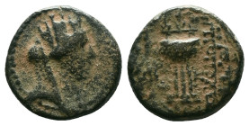 Greek Coins. 4th - 1st century B.C. AE Reference : "Repatinated" Condition: Very Fine

 Weight: 4.49 gr. Diameter: 16.1 mm.