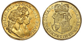 William & Mary 1689 gold Half Guinea AU58+