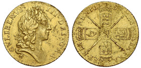 William III 1695 gold Half Guinea UNC Details