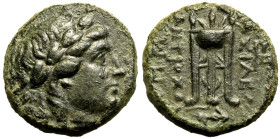 Seleukid Kingdom, Antiochos II 'Theos' Æ16