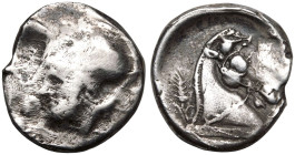 Anonymous AR Didrachm - Quadrigatus