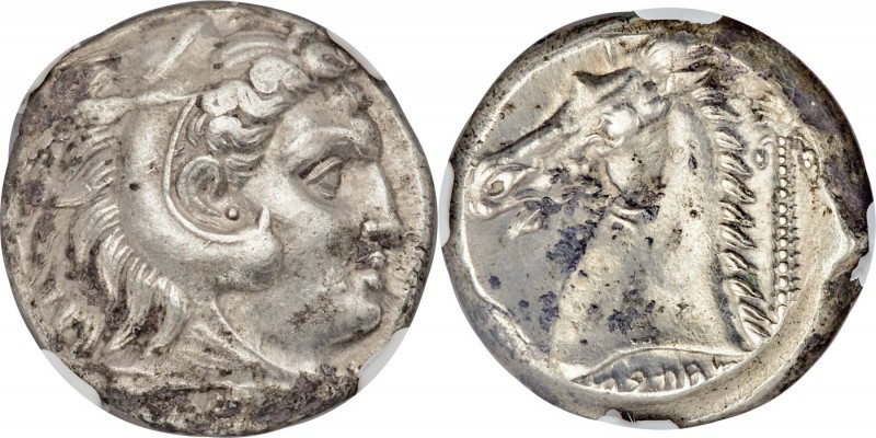 SICULO-PUNIC. Sicily. Ca. 300-289 BC. AR tetradrachm (22mm, 17.33 gm, 10h). NGC ...