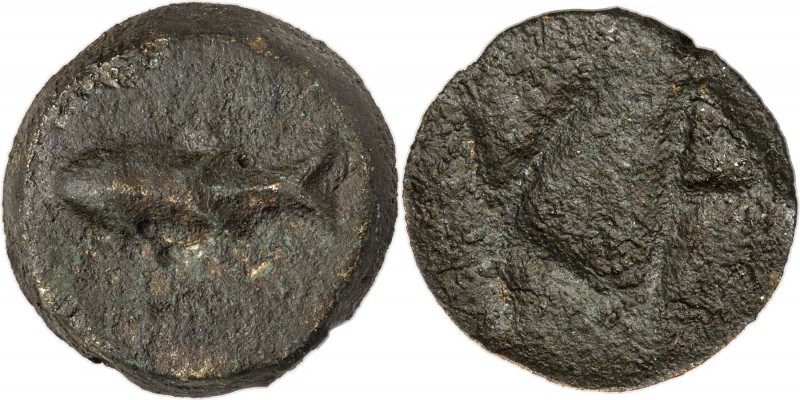 TAURIC CHERSONESUS. Carcinitis. Ca. 450-425 BC. AE (32mm, 23.60 gm, 6h), VF. Fis...