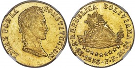 Republic gold 8 Scudos 1853 PTS-FP AU58 NGC, Potosi mint, KM116. Struck on a slightly oblong planchet, the surfaces satiny and the devices expressing ...