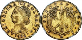 Republic gold 8 Escudos 1828 POPAYAN-FM XF45 NGC, Popayan mint, KM82.2. Isolated moments of bloom brighten the otherwise darkened flan, with a moderat...