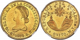 Republic gold 8 Escudos 1839 MV-A AU Details (Cleaned) NGC, Quito mint, KM23.1, Fr-4. Some soft details in striking, but an otherwise sharp and charmi...
