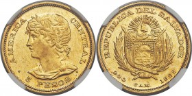Republic gold 5 Pesos 1892-C.A.M. AU58 NGC, San Salvador mint, KM117. Mintage: 558. Very well struck, with significant reflective gleam remaining in t...