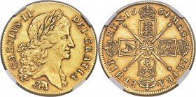 Charles II gold "Elephant" 2 Guineas 1664 AU Details (Reverse Graffiti) NGC, KM425.2, S-3334. Elephant below bust. A thoroughly pleasing example of th...