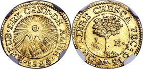 Central American Republic gold 1/2 Escudo 1825 NG-M MS64 NGC, Guatemala City mint, KM5. Fully brilliant with flashy golden luster and a sound strike. ...