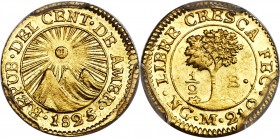 Central American Republic gold 1/2 Escudo 1825 NG-M MS62 PCGS, Guatemala City mint, KM5. A gorgeous, prooflike Mint State example of this minor gold d...