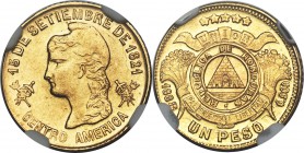 Republic gold Peso 1888 MS64 NGC, KM56. A wonderful example of this type, struck from somewhat older dies as is often the case with this series. Highl...