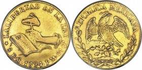 Republic gold 8 Escudos 1824 Mo-JM XF45 ANACS, Mexico City mint, KM383.9. The centers somewhat weak as is often the case with this particular issue, b...