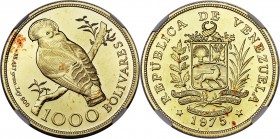 Republic gold "Cock of the Rock" 1000 Bolivares 1975 MS66 NGC, British Royal mint, KM-Y48.1. Highly lustrous and prooflike surfaces with a few random ...