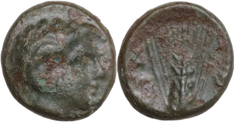 Greek Italy. Southern Lucania, Metapontum. AE 10 mm, c. 300-250 BC. Obv. Head of...