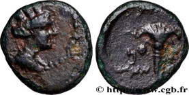 PHOENICIA - ARADOS
Type : Hemichalque 
Date : an 50 
Mint name / Town : Phénicie, Arados 
Metal : copper 
Diameter : 12,5  mm
Orientation dies : 12  h...