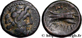 PHOENICIA - ARADOS
Type : Hemichalque 
Date : 206-51 AC. 
Mint name / Town : Arados, Phénicie 
Metal : bronze 
Diameter : 15,5  mm
Orientation dies : ...