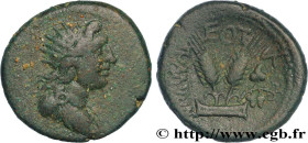 PHOENICIA - ARADOS
Type : Hemichalque 
Date : an 166 
Mint name / Town : Arados, Phénicie 
Metal : copper 
Diameter : 20,5  mm
Orientation dies : 12  ...