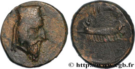 PHOENICIA - SIDON
Type : Demi-unité 
Date : an 12 
Mint name / Town : Sidon, Phénicie 
Metal : copper 
Diameter : 15,5  mm
Orientation dies : 12  h.
W...