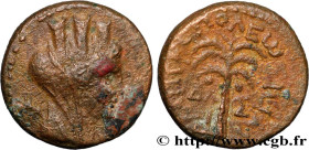 PHOENICIA - TYRE
Type : Chalque 
Date : an 292 
Mint name / Town : Tyr, Phénicie 
Metal : copper 
Diameter : 15,5  mm
Orientation dies : 1  h.
Weight ...