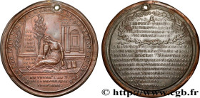 THE CONVENTION
Type : Médaille de Palloy, Hommage à chaque représentant du Peuple 
Date : 1795 
Metal : various 
Diameter : 56  mm
Engraver : Palloy P...