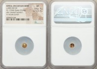 IONIA. Uncertain mint. Ca. 600-550 BC. EL 1/24 stater or myshemihecte (6mm, 0.64 gm). NGC XF 5/5 - 4/5. Phocaic standard. Head left, wearing crested C...